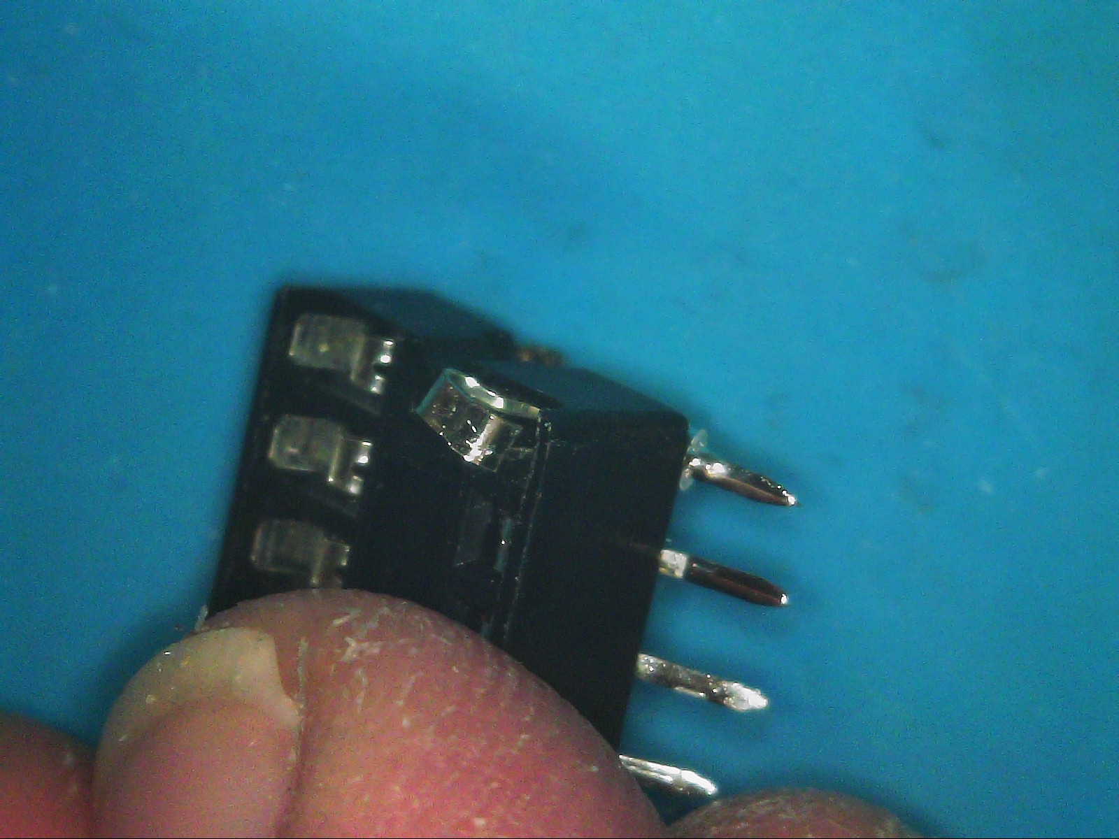 S20251101_0012.jpg